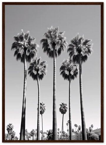 Black and white palm trees poster – Resimio